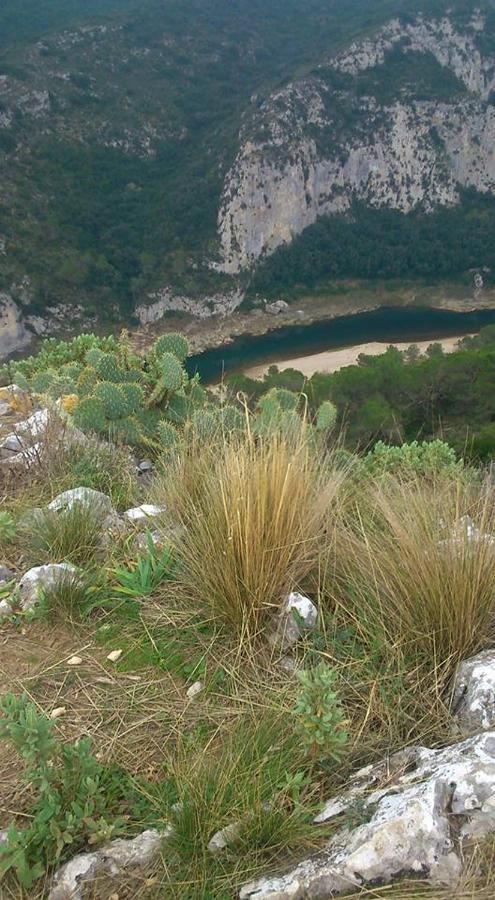 Апартаменты Entre Uzes Et Le Pont Du Gard Le Cocon De Sophia A Deux Pas Des Gorges Du Gardon Collias Экстерьер фото